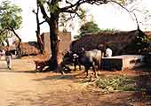 Dorfstrasse in Tilak Nagar im Ahmednagar District